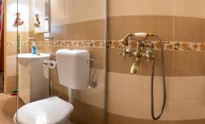 La salle de bains est pourvue d'une douche et de toilettes. dans l'établissement Eric Central Studio, à Sibiu
