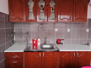 a kitchen with a sink and wooden cabinets at Jednosoban stan centar in Pirot +20 photos