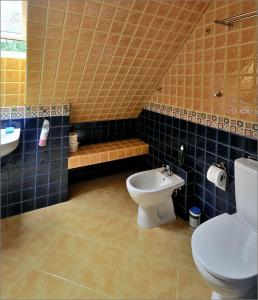 a bathroom with a toilet and a sink at mazury-dom in Świętajno