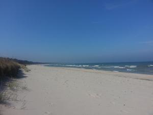 a beach with footprints in the sand and the ocean at Appartementhaus Süssling in Glowe