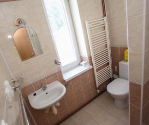 a bathroom with a sink and a toilet and a window at BIKE & SKI Apartmány Lopušná dolina - Vysoké Tatry in Jezersko