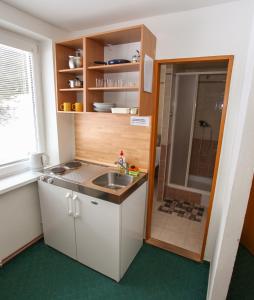 a small kitchen with a sink and a shower at BIKE & SKI Apartmány Lopušná dolina - Vysoké Tatry in Vysoké Tatry