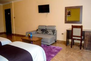 فندق Melodie في أديس أبابا: غرفة معيشة مع أريكة وتلفزيون