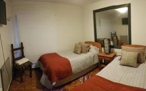 ein Schlafzimmer mit einem Bett, einem Spiegel und einem Stuhl in der Unterkunft Hostal Centro Montt in Temuco