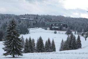 Dream Apartment Poiana Brasov om vinteren