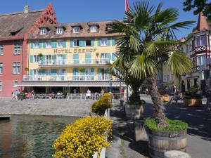 a hotel with a palm tree in front of a building at Hotel & Gästehaus Seehof in Meersburg