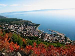 Příroda nedaleko apartmánu