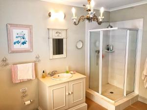 ein Bad mit einer Dusche und einem Waschbecken in der Unterkunft Rose Cottage @ Gods' Haven Eco Estate in Underberg