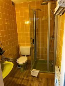 a bathroom with a toilet and a glass shower at Gästehaus Fries in Blankenheim
