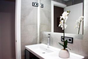 baño con lavabo y jarrón con flores en Princesa VUT, en Cuenca 27 fotos más