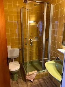 a bathroom with a shower and a toilet and a sink at Gästehaus Fries in Blankenheim