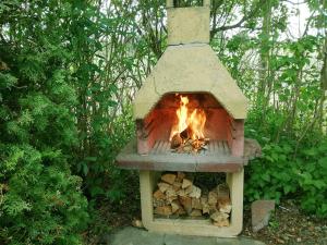 a brick oven with a fire inside of it at Ferienhaus ELPARE in Schleife
