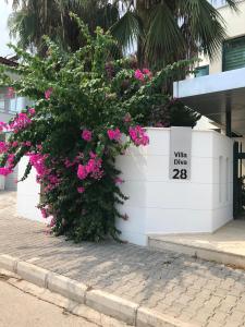 a bush with pink flowers in front of a building at Villa Diva in Kemer