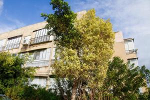 Gallery image of Apartment Serenity in Bat Yam