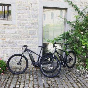 Attività di ciclismo presso il bed & breakfast o nelle vicinanze