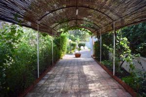 Zahrada ubytování Bedda Casa Al Mare
