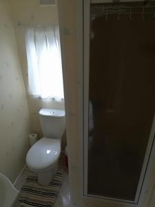 a small bathroom with a toilet and a shower at Domki obok plaży in Moryń