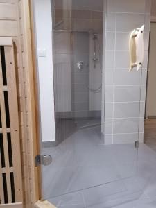 ein Bad mit einer Dusche und einer Glastür in der Unterkunft Vila Lom in Velké Losiny