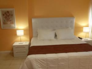 Gallery image of Nuevo Hotel Plaza in Minas