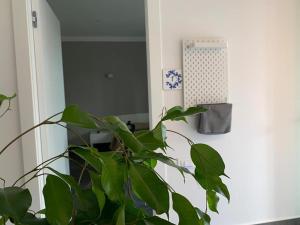 Fotografia z galérie ubytovania B&B Adenzia v destinácii Caltanissetta