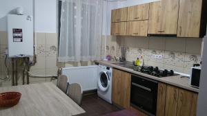 una cucina con lavatrice e lavandino di Apartament Lavinia a Călimăneşti