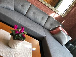 Posezení v ubytování Allika Apartments