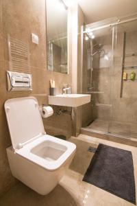 a bathroom with a toilet and a sink and a shower at St. Sava Temple/Slavija square in Belgrade