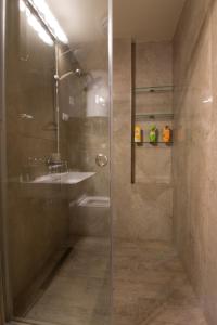 a shower with a glass door and a sink at St. Sava Temple/Slavija square in Belgrade