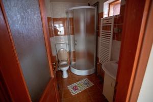 a small bathroom with a toilet and a shower at Vila Tei GuestHouse in Târgu Jiu