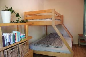Etagenbett in einem Zimmer mit Bücherregal in der Unterkunft Ferienwohnung Goldgrund in Meißen