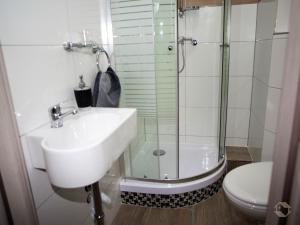 ein Bad mit einem Waschbecken, einer Dusche und einem WC in der Unterkunft Bianca`s Hotel Restaurant in Lörrach