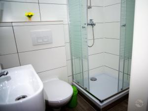 ein Bad mit einer Dusche, einem WC und einem Waschbecken in der Unterkunft Bianca`s Hotel Restaurant in Lörrach