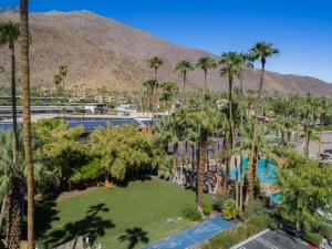 a large body of water with palm trees at Caliente Tropics in Palm Springs