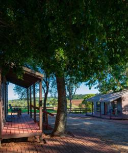 Fotografie z fotogalerie ubytování Dorrigo Mountain Holiday Park v destinaci Dorrigo