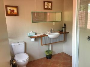 a bathroom with a toilet and a sink at Rossmount Rural Retreat in Goomboorian