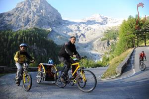 een man op een fiets met een kar op de weg bij Pferdehof Ansteingut in Sluderno