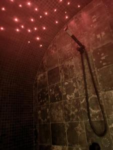 a bathroom with a shower with lights on the wall at Le Hammam du Panier in Marseille