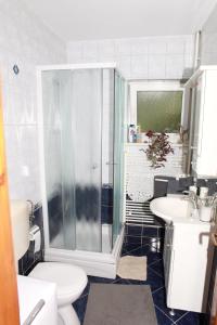 uma casa de banho com um chuveiro, um WC e um lavatório. em Apartman Malina em Karlovac