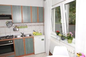 Kuchyň nebo kuchyňský kout v ubytování Apartman Malina