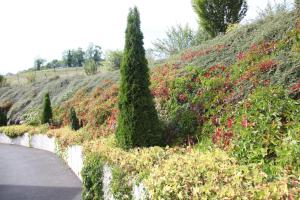 Aed väljaspool majutusasutust B&B HOTEL Aurillac Le Lioran
