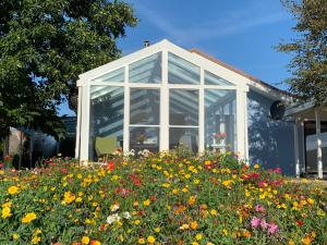 Zahrada ubytování Ferienhaus bei den Kreidefelsen - Ihr Zuhause auf Rügen