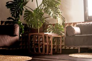 A seating area at Casa Boumort