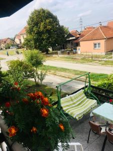Giardino di Stan na dan Loznica