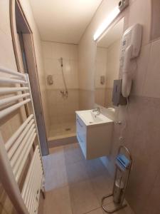 a small bathroom with a sink and a shower at Mamutfenyő Panzió in Tata