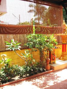 Zahrada ubytování BTC Hua Hin Home managed by BTC Boutique Resort