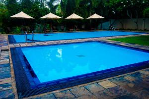 una gran piscina azul con sombrillas en Lavendish Okrin Hotel, en Kataragama