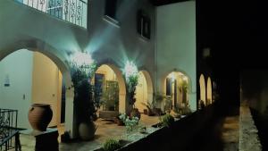 FrilingiánikaAloi Studios的花瓶和植物的建筑走廊