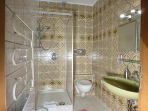a bathroom with a shower and a sink and a toilet at Ferienwohnungen Anneliese&Fritz Wagerer in Rimbach +47 photos