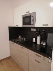 Köök või kööginurk majutusasutuses Apartmán Bezkov 108