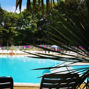 una grande piscina con una palma accanto di Camping Officiel Siblu Les Pierres Couchees a Saint-Brévin-les-Pins